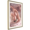 Plakat - Gwiezdny ptak