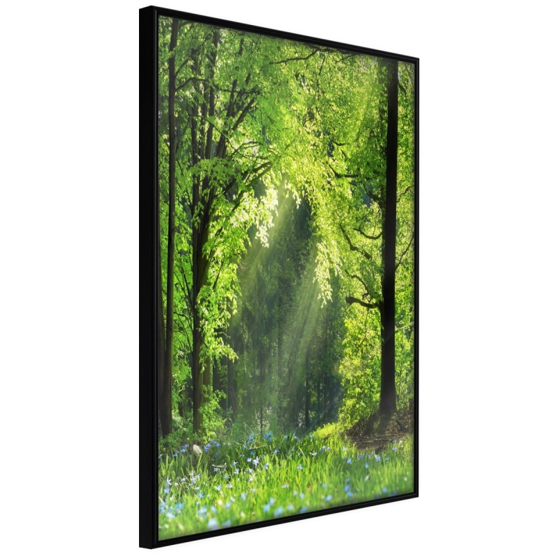 Plakat - Leśna ścieżka