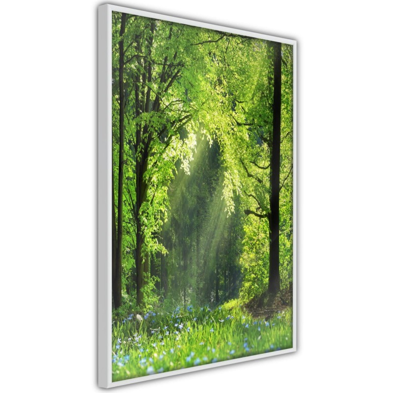 Plakat - Leśna ścieżka