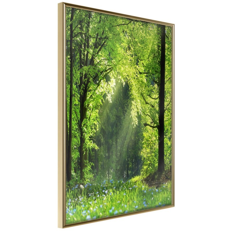 Plakat - Leśna ścieżka