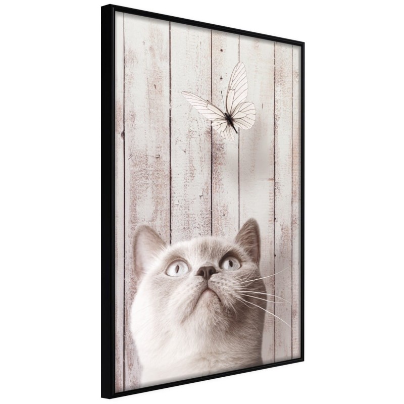 Plakat - Przenikliwe spojrzenie