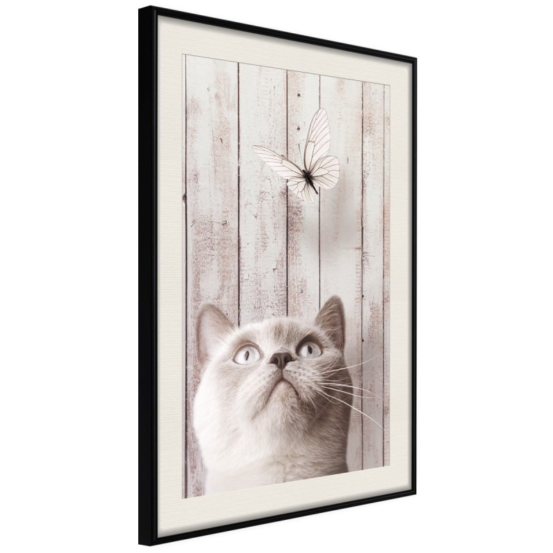 Plakat - Przenikliwe spojrzenie