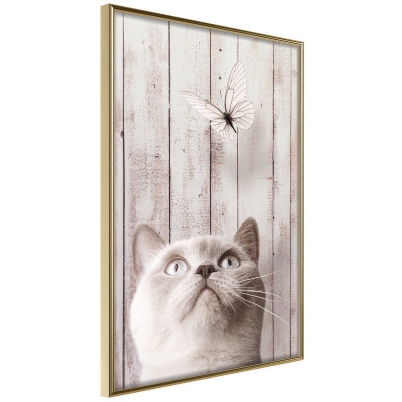 Plakat - Przenikliwe spojrzenie