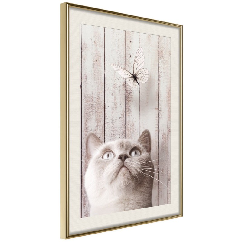 Plakat - Przenikliwe spojrzenie