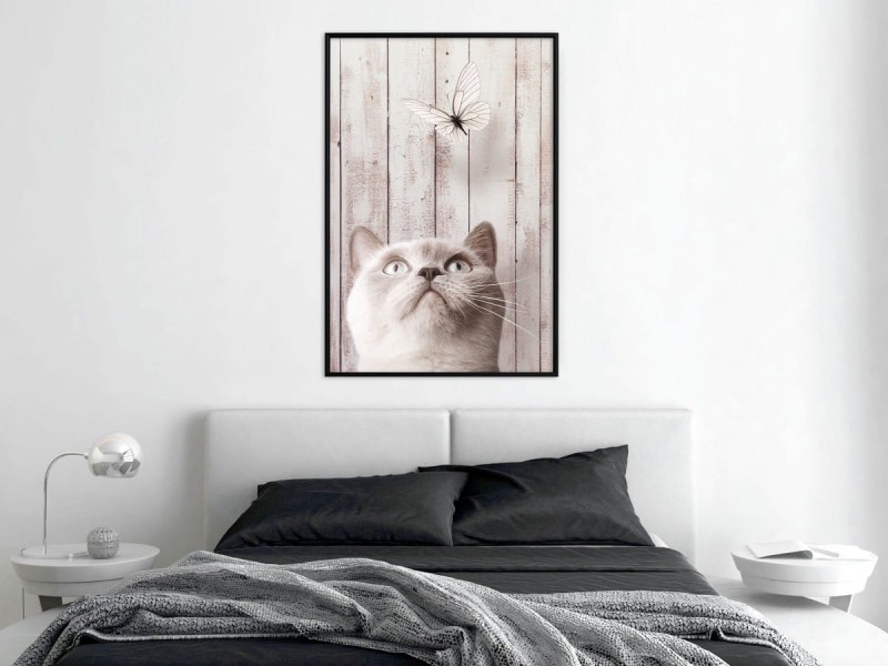 Plakat - Przenikliwe spojrzenie
