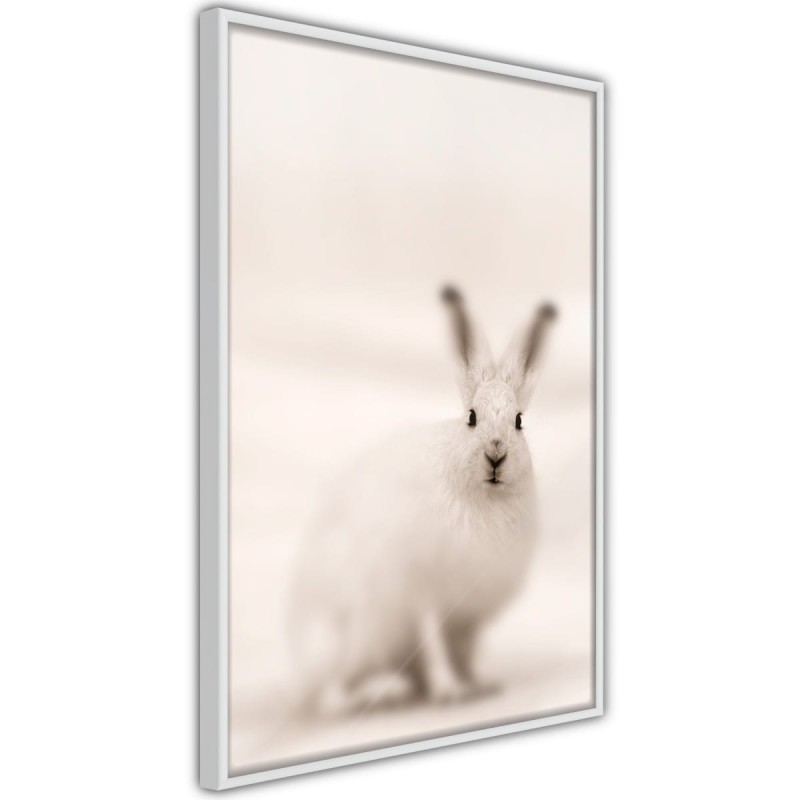 Plakat - Zaciekawiony królik