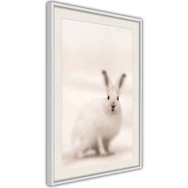 Plakat - Zaciekawiony królik
