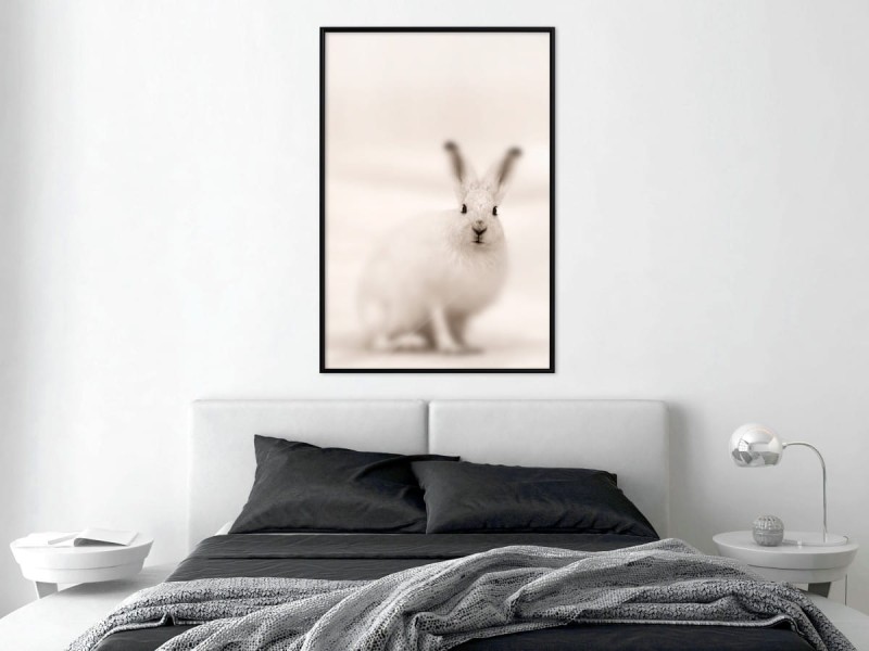 Plakat - Zaciekawiony królik