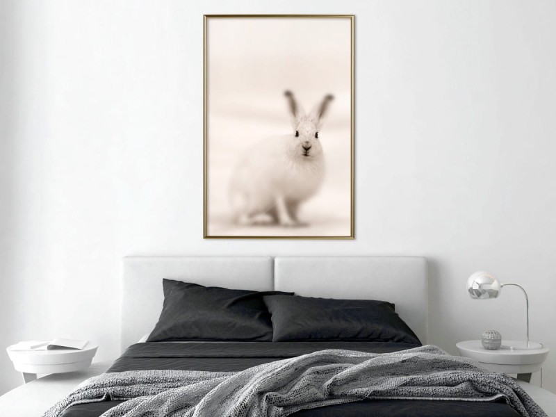 Plakat - Zaciekawiony królik