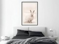 Plakat - Zaciekawiony królik