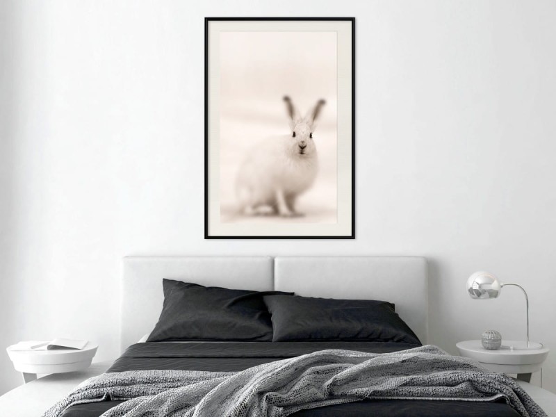 Plakat - Zaciekawiony królik