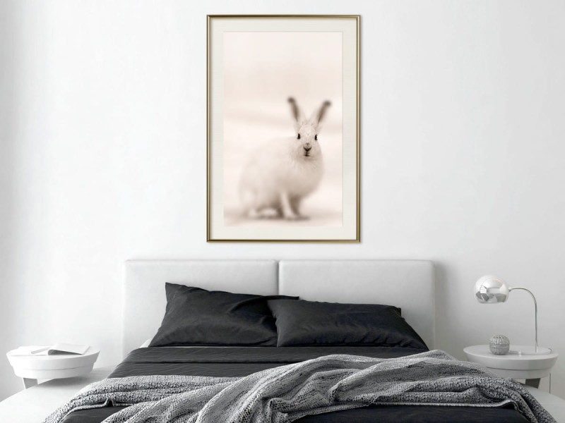 Plakat - Zaciekawiony królik