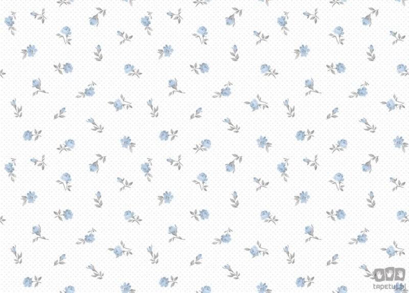 Pippo 455-1 tapeta ścienna ICH Wallpaper