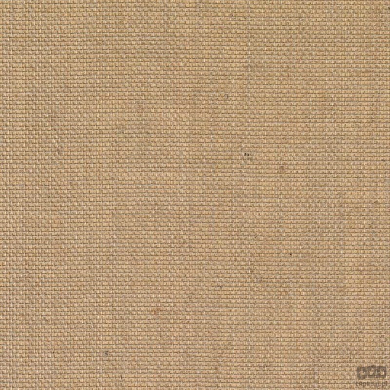French Line M4701 tapeta ścienna Desima