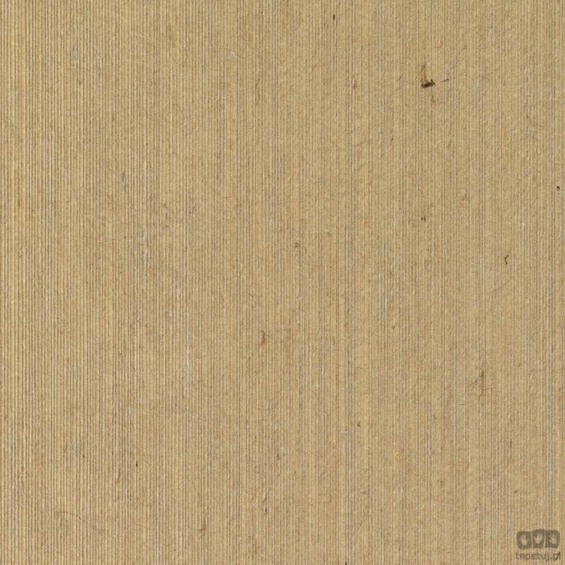 French Line M4751 tapeta ścienna Desima
