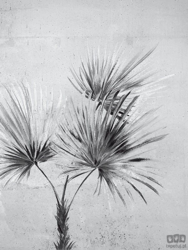 Fototapeta Palm 309095 Eijffinger