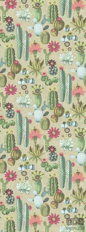 Fototapeta Cacti 309101 Eijffinger