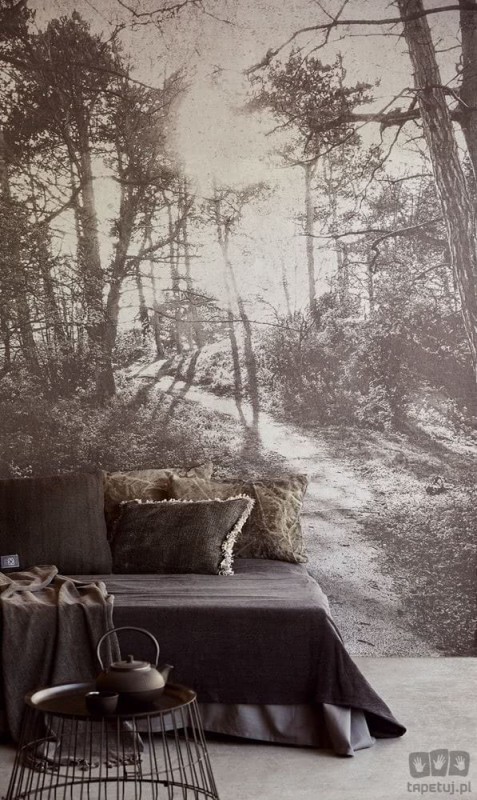 Fototapeta Into the Woods 309020 Eijffinger