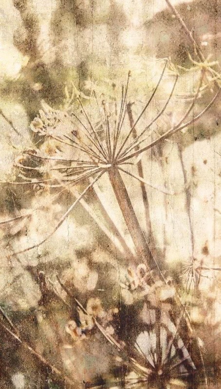Fototapeta Acanthus 309022 Eijffinger
