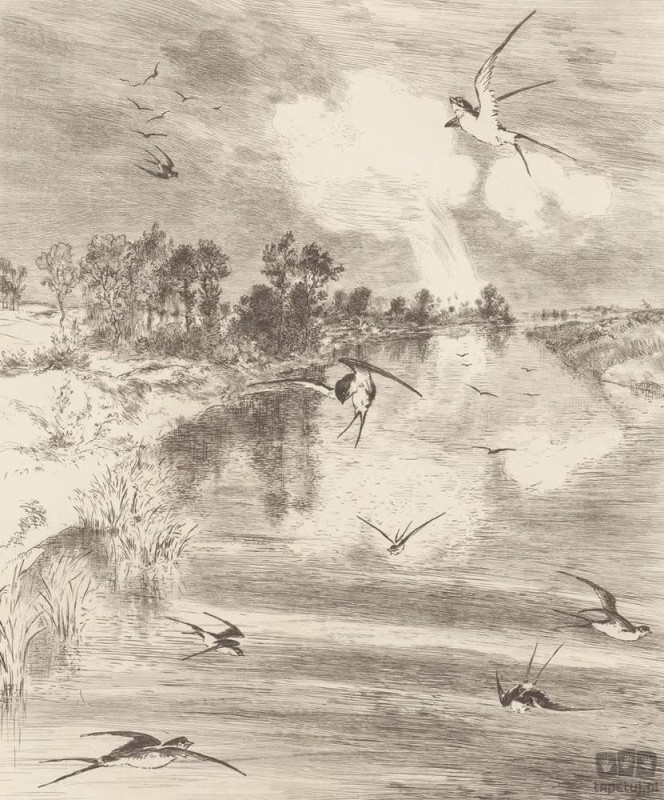 Fototapeta Hirundo 309016 Eijffinger