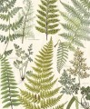 Fototapeta Herbarium 309017 Eijffinger