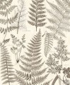 Fototapeta Herbarium 309018 Eijffinger
