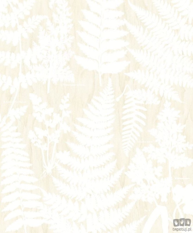 Fototapeta Herbarium 309019 Eijffinger