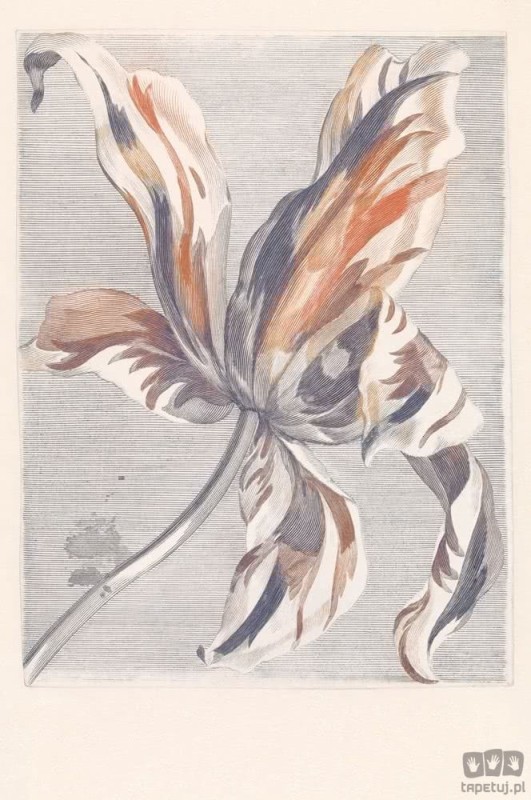 Fototapeta Tulip Teyler 309031 Eijffinger