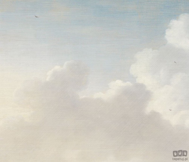 Fototapeta Dutch Sky 309035 Eijffinger