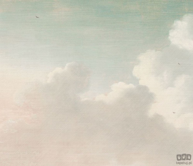 Fototapeta Dutch Sky 309036 Eijffinger