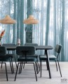 Fototapeta Mysterious Forest 309144 Eijffinger