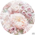 Fototapeta Pink and Cream Roses D1-072