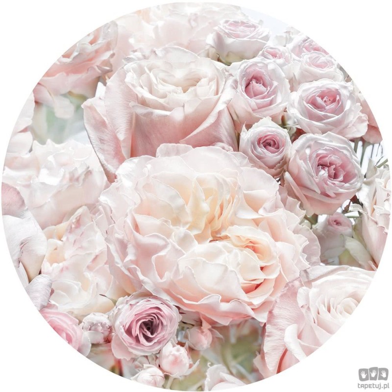 Fototapeta Pink and Cream Roses D1-072