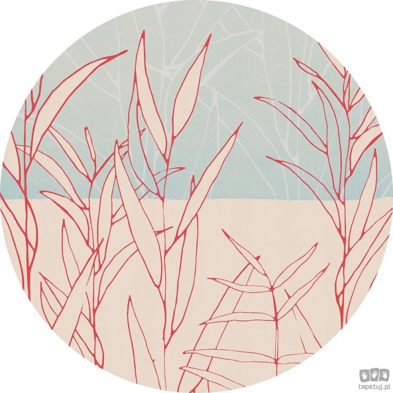 Fototapeta Grassland D1-078