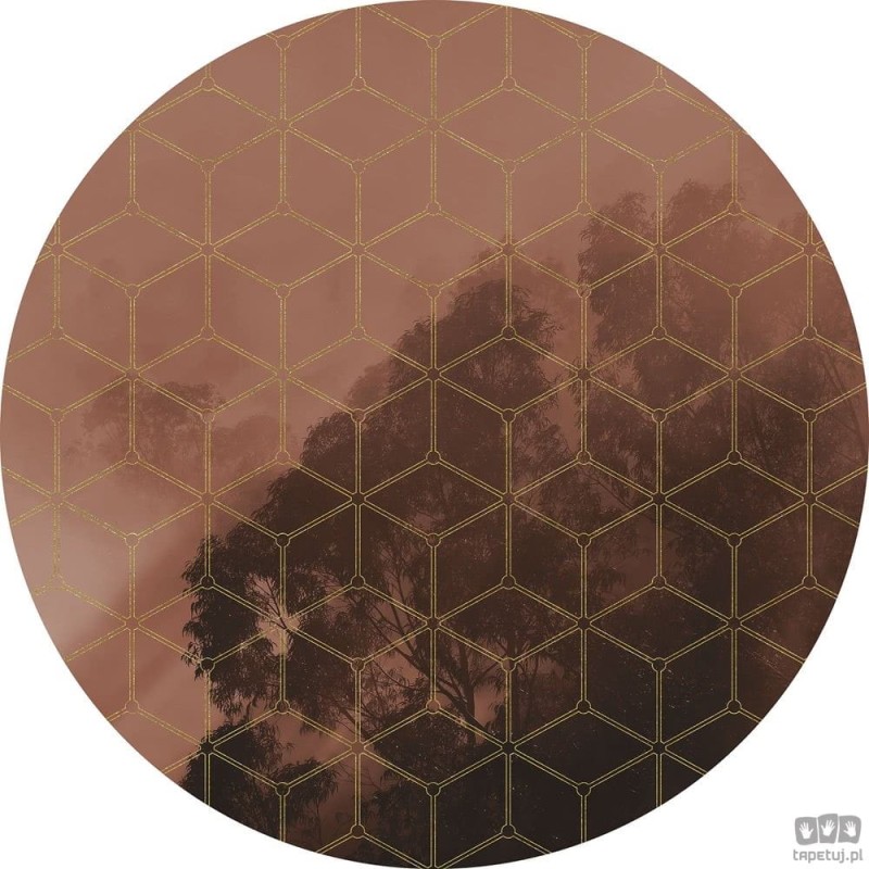 Fototapeta New Morning D1-084