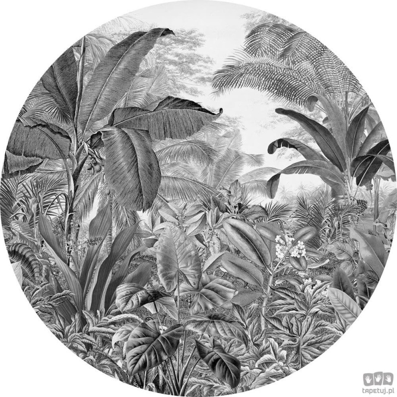 Fototapeta Wild Woods D1-087