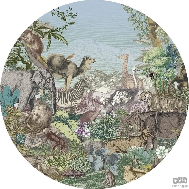 Fototapeta Animal Kingdom D1-089