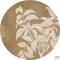 Fototapeta Blooming Branch D1-096