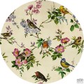 Fototapeta Bird Party D1-100