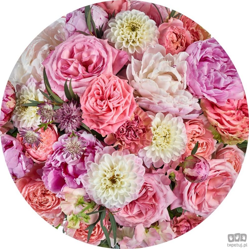 Fototapeta Beautiful Blossoms D1-103