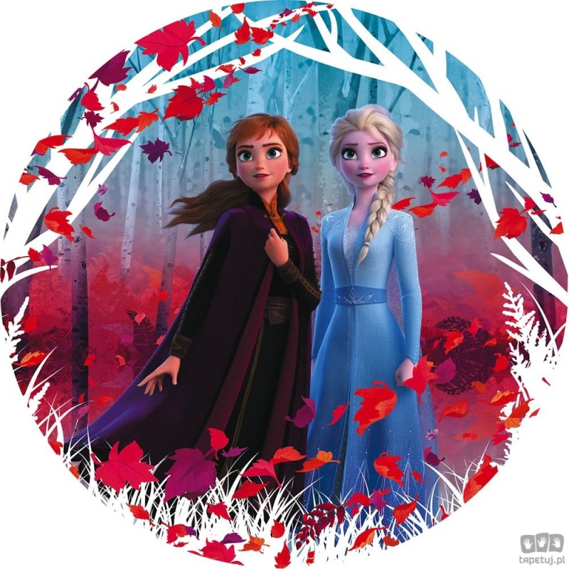 Fototapeta Frozen 2 Winter is Coming DD1-006