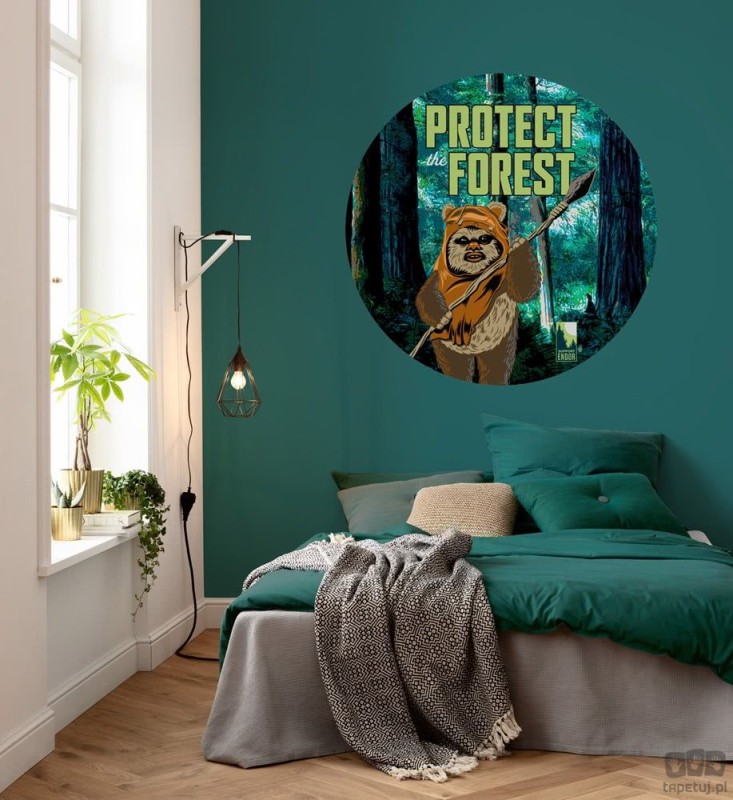 Fototapeta Star Wars Protect the Forest DD1-015