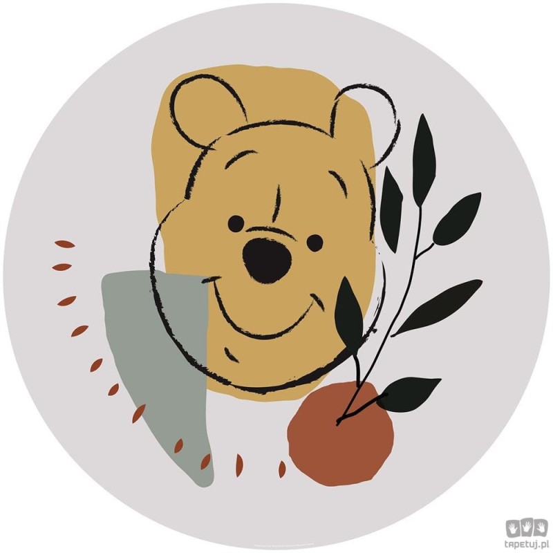 Fototapeta Winnie the Pooh Smile DD1-035
