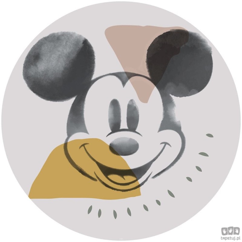 Fototapeta Mickey Abstract DD1-039