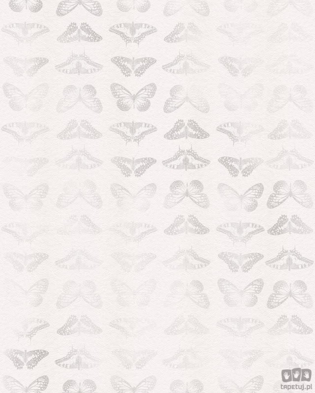 Fototapeta Mur de Papillons X4-1076
