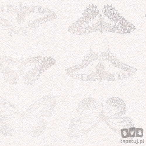 Fototapeta Mur de Papillons X4-1076