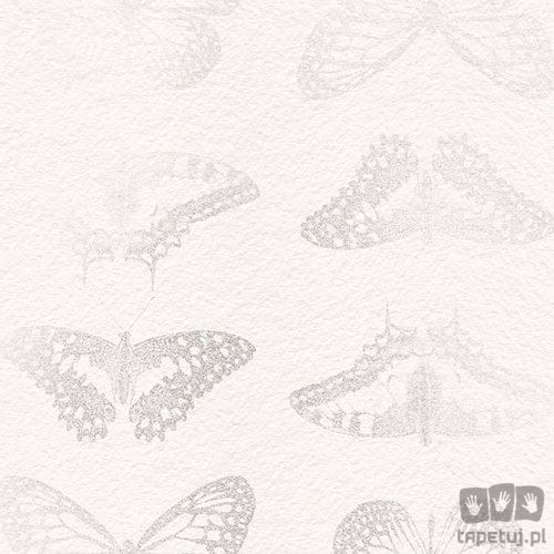Fototapeta Mur de Papillons X4-1076