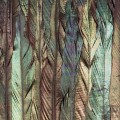 Fototapeta Dark Wings X4-1081