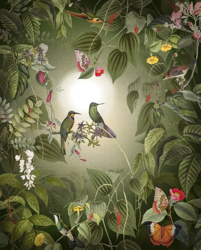 Fototapeta Wildlife Birds X4-1100