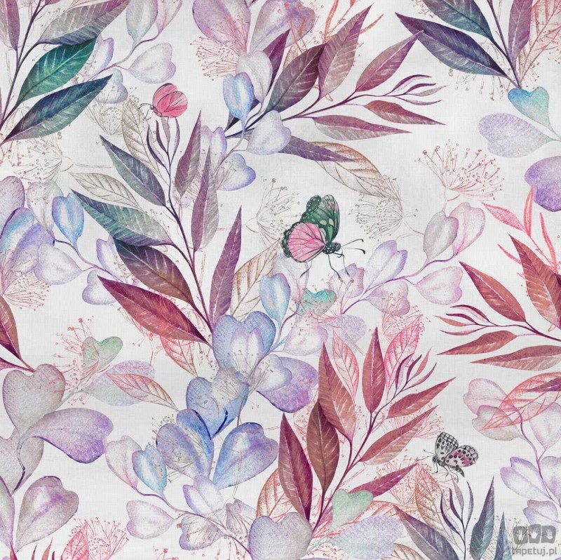 Fototapeta Eucalyptus X5-1082